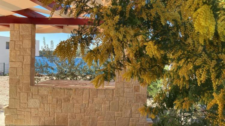 شقة Helena روغوزنيكا المظهر الخارجي الصورة
